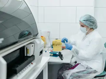 Los obeliscos: el descubrimiento del año que revoluciona el concepto de microbioma humano Los obeliscos: el descubrimiento del año que revoluciona el concepto de microbioma humano