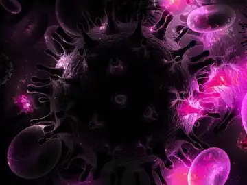 Virus de la inmunodeficiencia humana (VIH) Virus de la inmunodeficiencia humana (VIH)