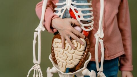 España, líder mundial en trasplantes durante 33 años consecutivos