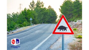Los siniestros con animales se mantienen en los &uacute;ltimos a&ntilde;os, pero siguen siendo un 145% m&aacute;s que hace una d&eacute;cada