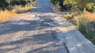 Carretera con peligro para usuarios de la vía en Limones, Granada Carretera con peligro para usuarios de la vía en Limones, Granada