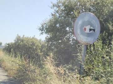 Maleza y señales deterioradas en Cáceres