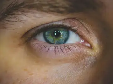 La inteligencia artificial ayuda a predecir quién necesita tratamiento para evitar la pérdida de visión La inteligencia artificial ayuda a predecir quién necesita tratamiento para evitar la pérdida de visión