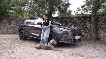 C&oacute;mo llevar a tu mascota