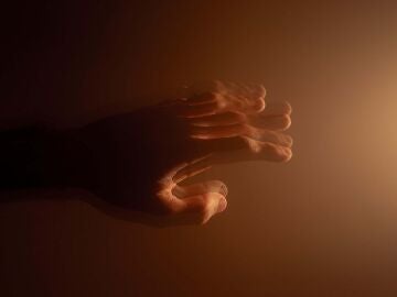 Un análisis genético podría detectar el párkinson antes de los primeros síntomas Un análisis genético podría detectar el párkinson antes de los primeros síntomas