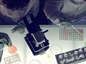 Constantes y Vitales