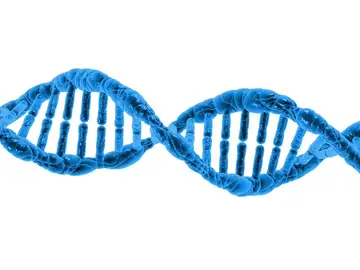 El ADN viral que creíamos que era una "basura" resulta ser clave en el inicio de la vida El ADN viral que creíamos que era una "basura" resulta ser clave en el inicio de la vida