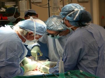 España mantiene su liderazgo mundial en trasplantes pese al ligero descenso en 2025 España mantiene su liderazgo mundial en trasplantes pese al ligero descenso en 2025