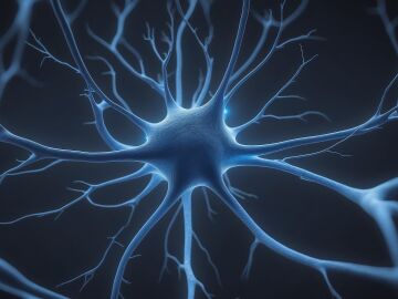 Un estudio cient&iacute;fico sobre el l&iacute;quido cefalorraqu&iacute;deo que revela el mapa secreto de los tumores cerebrales y su resistencia