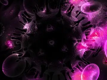 Un nuevo mapa genético desvela por primera vez cómo el VIH se infiltra y actúa dentro de las células humanas Un nuevo mapa genético desvela por primera vez cómo el VIH se infiltra y actúa dentro de las células humanas