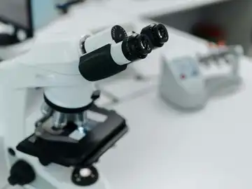Premio Constantes y Vitales 2026 a la Trayectoria Científica en investigación biomédica Premio Constantes y Vitales 2026 a la Trayectoria Científica en investigación biomédica