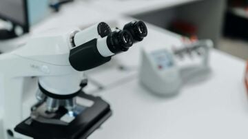 Premio Constantes y Vitales 2026 a la Trayectoria Cient&iacute;fica en investigaci&oacute;n biom&eacute;dica