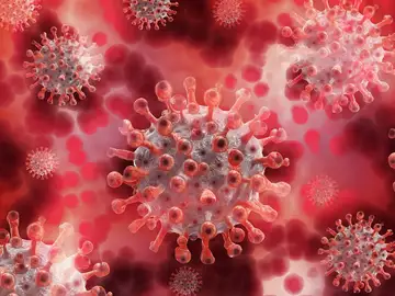 Caen las infecciones de hepatitis B y las muertes por hepatitis C, según el nuevo informe de la OMS Caen las infecciones de hepatitis B y las muertes por hepatitis C, según el nuevo informe de la OMS