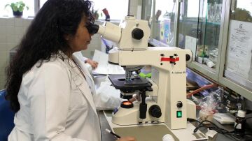 El estudio del ADN revela el riesgo de sufrir hasta ocho patolog&iacute;as cardiovasculares antes de que aparezcan los s&iacute;ntomas