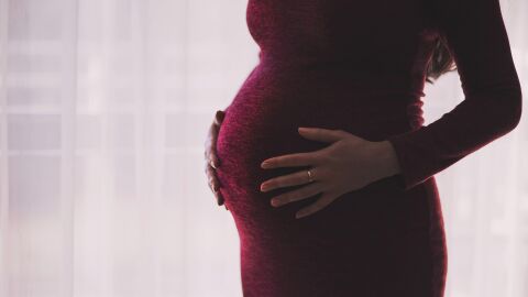 Las alteraciones metabólicas que pueden surgir previamente al embarazo y que pueden llevar a un mayor riesgo de preeclampsia según un estudio científico