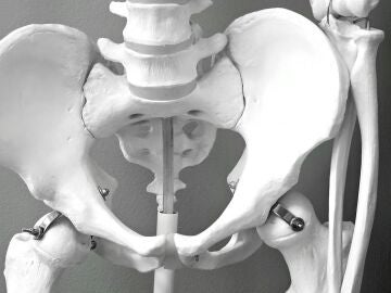 Un estudio identifica un nuevo mecanismo que favorece la propagación del cáncer en los huesos Un estudio identifica un nuevo mecanismo que favorece la propagación del cáncer en los huesos