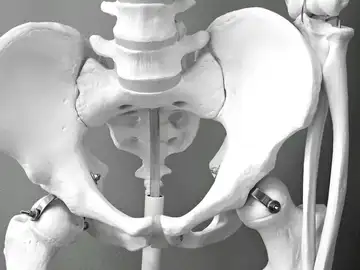Un estudio identifica un nuevo mecanismo que favorece la propagación del cáncer en los huesos Un estudio identifica un nuevo mecanismo que favorece la propagación del cáncer en los huesos