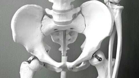 Un estudio identifica un nuevo mecanismo que favorece la propagación del cáncer en los huesos