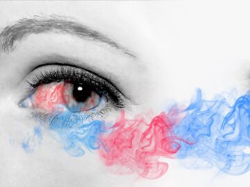 Un estudio revela c&oacute;mo funcionan las prote&iacute;nas que nos permiten ver los colores y abre nuevas v&iacute;as para tratar enfermedades de la retina