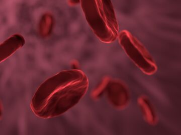 Un estudio revela por qu&eacute; no todos los virus infectan igual tras 80 a&ntilde;os de misterio