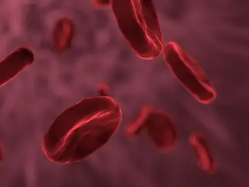 Un estudio revela por qué no todos los virus infectan igual tras 80 años de misterio Un estudio revela por qué no todos los virus infectan igual tras 80 años de misterio