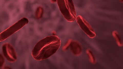 Un estudio revela por qué no todos los virus infectan igual tras 80 años de misterio