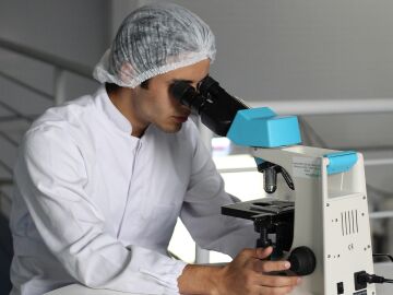 Identifican una posible estrategia para mejorar el tratamiento del c&aacute;ncer de v&iacute;as biliares intrahep&aacute;tico