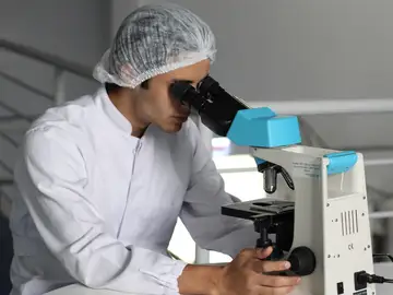 Identifican una posible estrategia para mejorar el tratamiento del cáncer de vías biliares intrahepático Identifican una posible estrategia para mejorar el tratamiento del cáncer de vías biliares intrahepático
