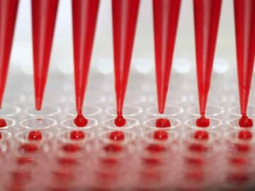 Se reduce el consumo de antibióticos y recupera los niveles anteriores a la pandemia Se reduce el consumo de antibióticos y recupera los niveles anteriores a la pandemia