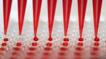Se reduce el consumo de antibi&oacute;ticos y recupera los niveles anteriores a la pandemia