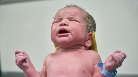 El intestino del bebé puede influir en el neurodesarrollo