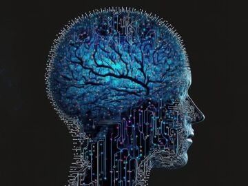 Cada respiración deja una huella distinta en la actividad del cerebro, según un nuevo estudio Cada respiración deja una huella distinta en la actividad del cerebro, según un nuevo estudio
