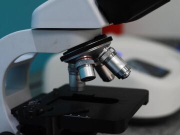 El CSIC abre sus centros a toda Espa&ntilde;a este viernes con motivo de la Noche Europea de la Investigaci&oacute;n