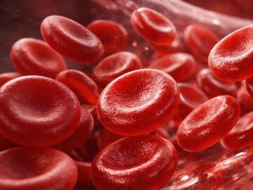 Los niveles de hemoglobina por encima del umbral de anemia se asocian con una menor mortalidad