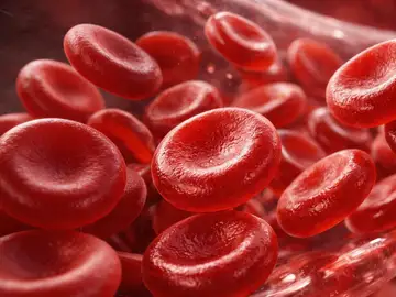 Los niveles de hemoglobina por encima del umbral de anemia se asocian con una menor mortalidad Los niveles de hemoglobina por encima del umbral de anemia se asocian con una menor mortalidad