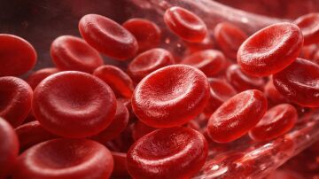 Los niveles de hemoglobina por encima del umbral de anemia se asocian con una menor mortalidad