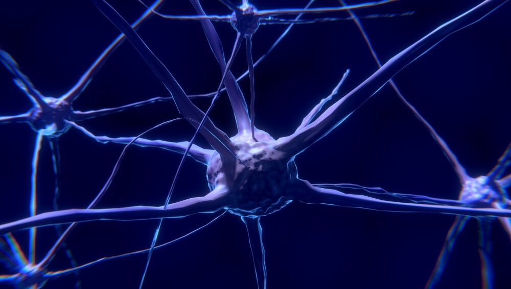 Una tecnología de grafeno ofrece información en tiempo real sobre la vulnerabilidad neuronal tras un ictus