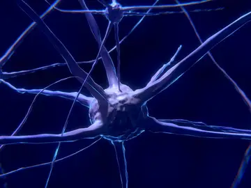 Una tecnología de grafeno ofrece información en tiempo real sobre la vulnerabilidad neuronal Una tecnología de grafeno ofrece información en tiempo real sobre la vulnerabilidad neuronal