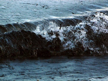 Marea negra en el Golfo de México