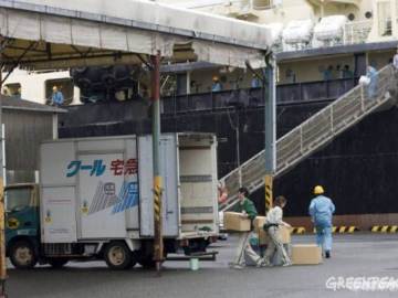 Caza Científica de ballenas en Japón 