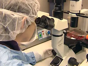 Investigación en el laboratorio Investigación en el laboratorio