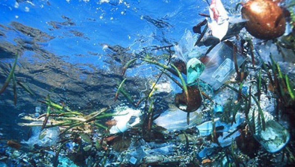 Residuos de basura en el océano