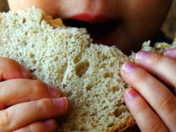 Niño comiendo un sandwich Niño comiendo un sandwich