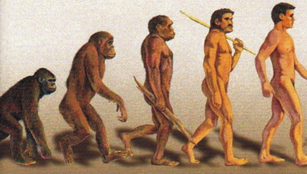 Evolución del ser humano