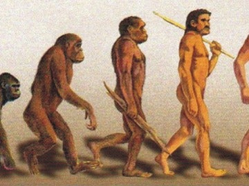 Evolución del ser humano Evolución del ser humano