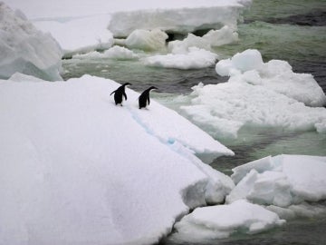 Dos pingüínos en la Antártida
