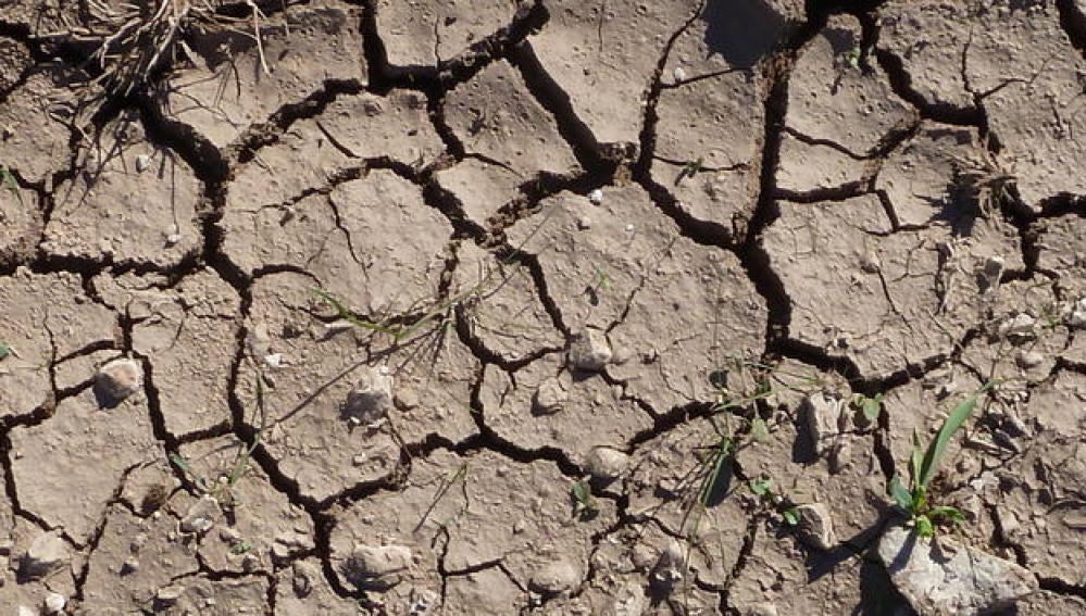 Sequía en España