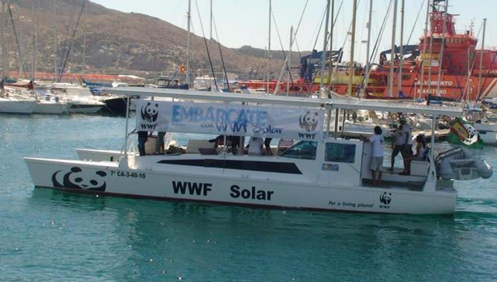 WWF Solar