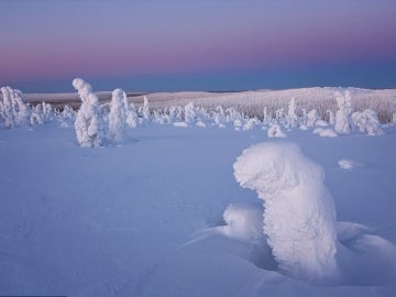 Paisaje nevado en el Ártico