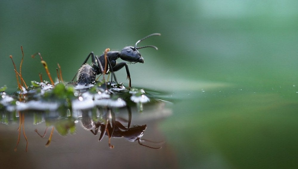 Un momento para refrescarse